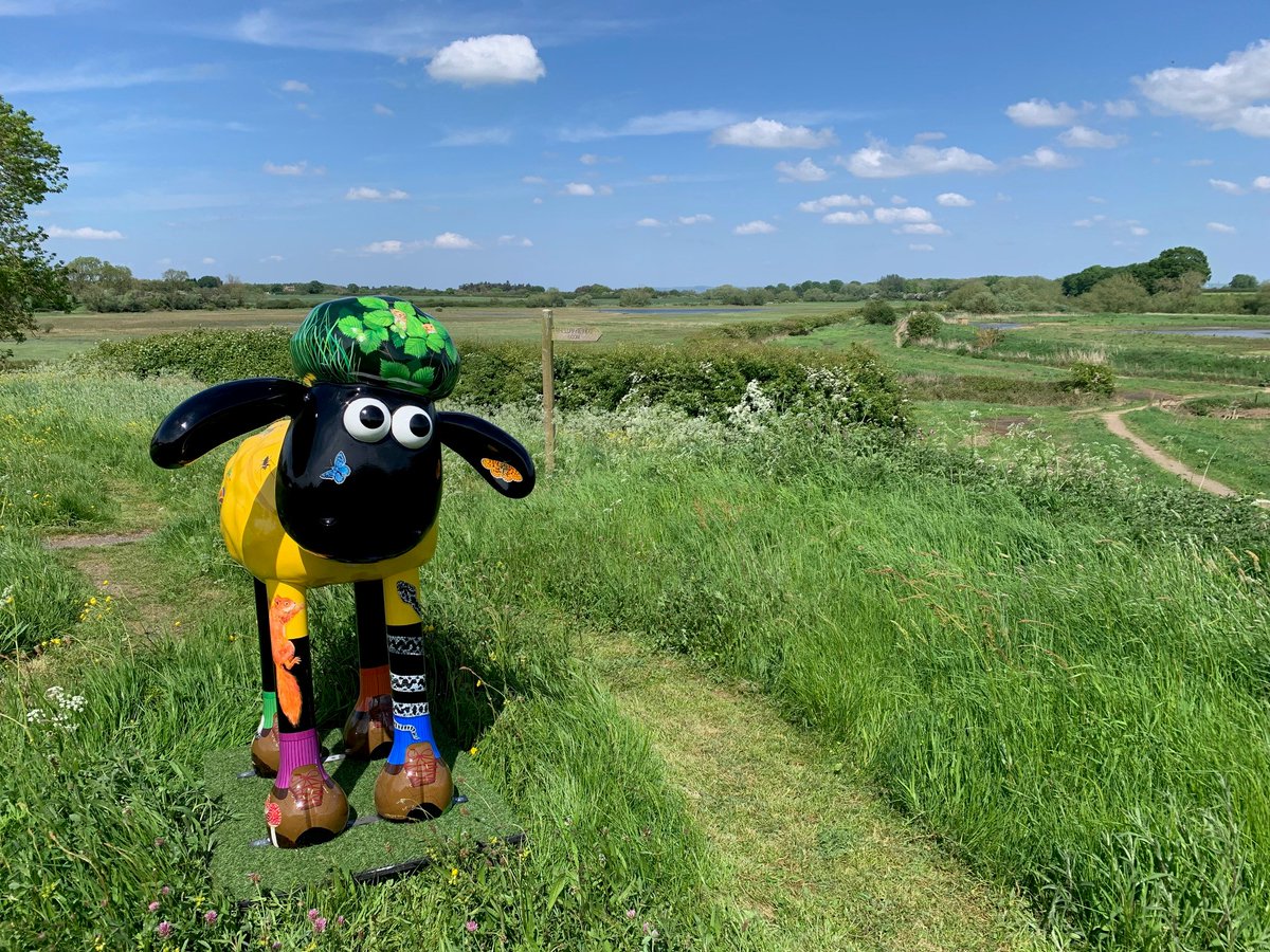 Today is the start of the #NNRWeek celebrations, with various guided walks planned & group tasks with @AvivaUK, @DefraNature & @DraxGroup to help us deliver more management works & improvements to the site, not forgetting Shaun - feel free to bob down before he moves on! 😄