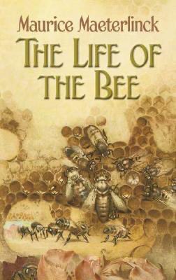 #FoundinOxfam
#WorldBeeDay #classics