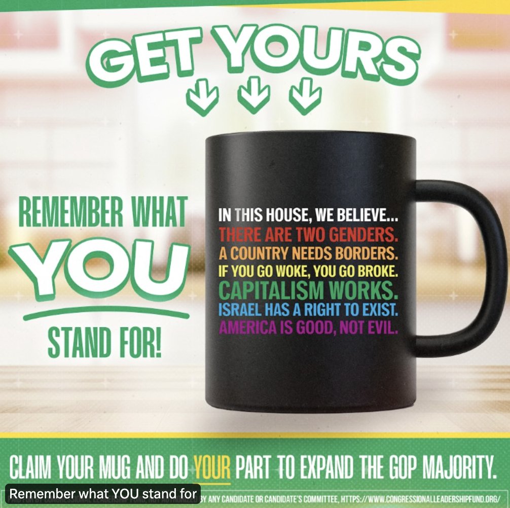 Twitter has been trying to get me to buy this mug. I'm not a conservative or a Republican. And I don't think most of these beliefs are, either. Why not tweak this is a little and sell it to centrists? There are two sexes, but you can bend gender norms all you want; A country