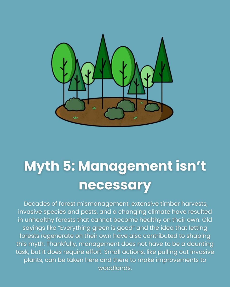 The last #CarbonMyth we’re tackling is that “Management isn’t Necessary.” Mismanagement, the stresses of invasive species, and severe weather events all contribute to the deteriorating health of forests. forestfoundation.org/why-we-do-it/f…