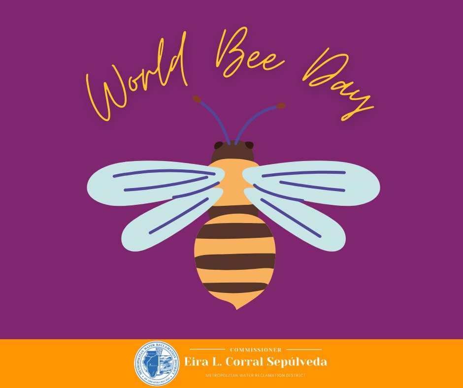 Today is World Bee Day! As pollinators, bees play a part in every aspect of the ecosystem, supporting the growth of trees, flowers, and other plants, which serve as food and shelter for creatures large and small.