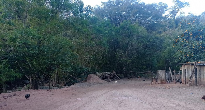 notambientalbol's tweet photo. 📍Defensores de Tariquía denuncian que la Policía quiere retirarlos

Son nueve días que los comunarios realizan vigilia en el ingreso de la reserva Tariquía para impedir ingreso de empresas petroleras a explotar en el área protegida.

👉https://t.co/HY6PKHj4PN https://t.co/BX7DGUj7sg