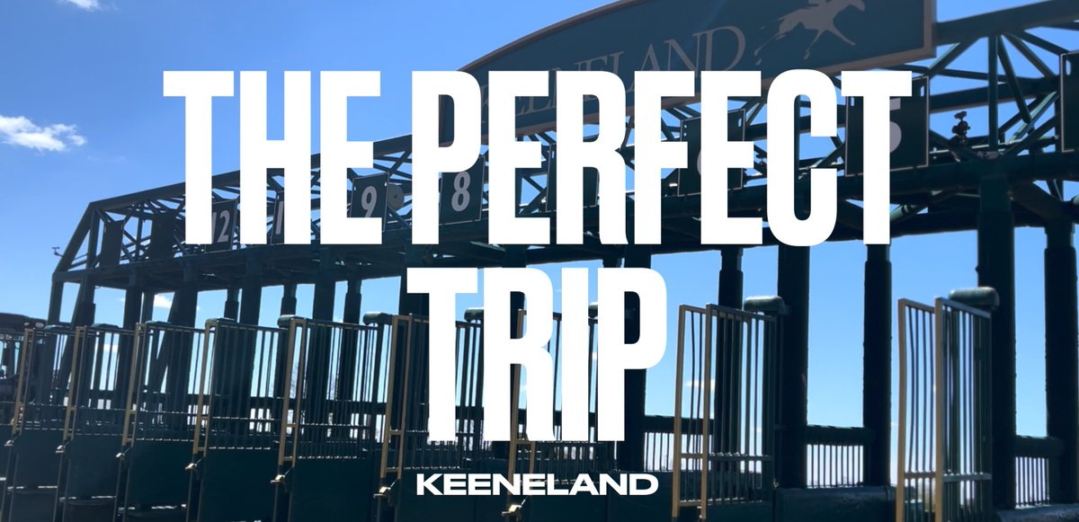 InTheMoneyMedia's tweet image. Bags are packed, wheels are up - @Josh_Nguyen and @Mikericciiii are off to @Keeneland in search of The Perfect Trip. This episode is brought to you by the letter “B.” Follow the crew as they find bourbon, brisket and bluegrass.

youtube.com/watch?v=wSyMfG…