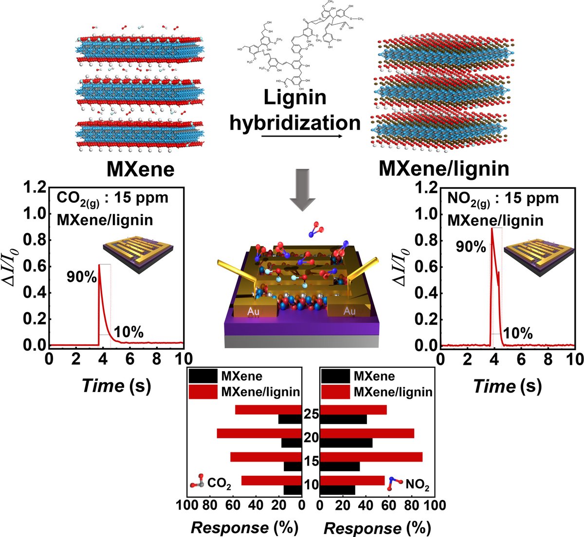 Enhanced sensitivity of zero-bias-operated MXene chemiresistive sensor via lignin hybridization doi.org/10.1002/eom2.1… @WileyGlobal @wileyinresearch @Wiley_Chemistry @WileySTEM