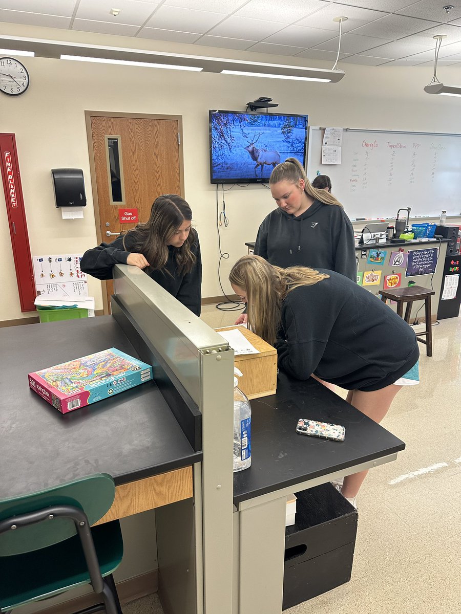 AngieAxman's tweet photo. #PACschools. Problem solving as a team..who will win? May Term 2024. https://t.co/p8cX7WjlgQ