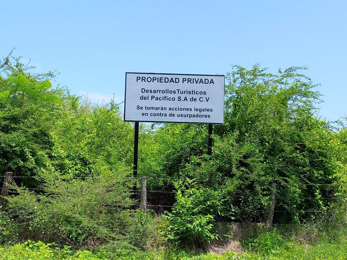 arpassv's tweet photo. #Ambiente| La comunidad de la playa Icanal #denuncian usurpación de tierras y depredación del Manglar en “El Icacal”, por la empresa Desarrollos Turísticos del Pacífico ante el establecimiento del circuito turístico #SurfCityII.
@MedioAmbienteSV
@MILPAelsalvador
#ARPAS #RedArpas https://t.co/dWIcIPHxII