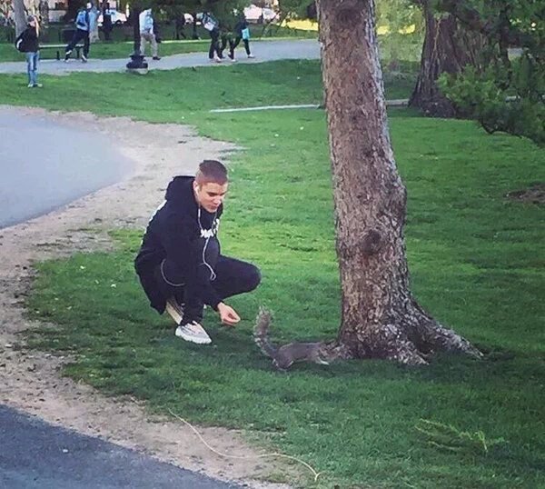 purplbase's tweet photo. shoeless justin bieber wanders around boston park and feeds a squirrel https://t.co/BPvZ6uf5Jf