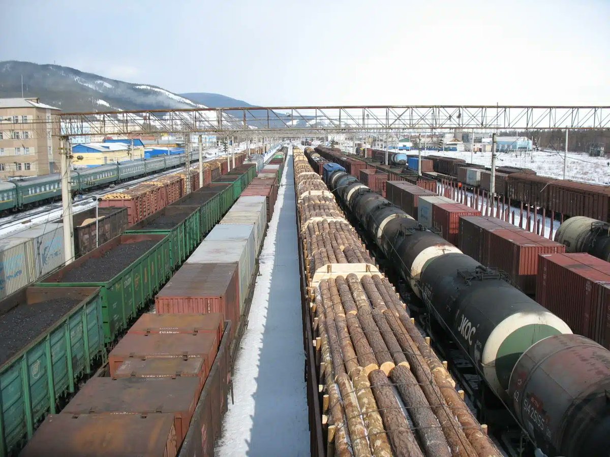 ITTCON_KG's tweet image. Amidst shifting trade patterns, Russia's log exports to China surge, posing questions about global timber markets. Stay informed on the latest developments shaping the industry. #TimberTrade #Russia #China #GlobalMarkets #TradeTrends bit.ly/3V8KuEE