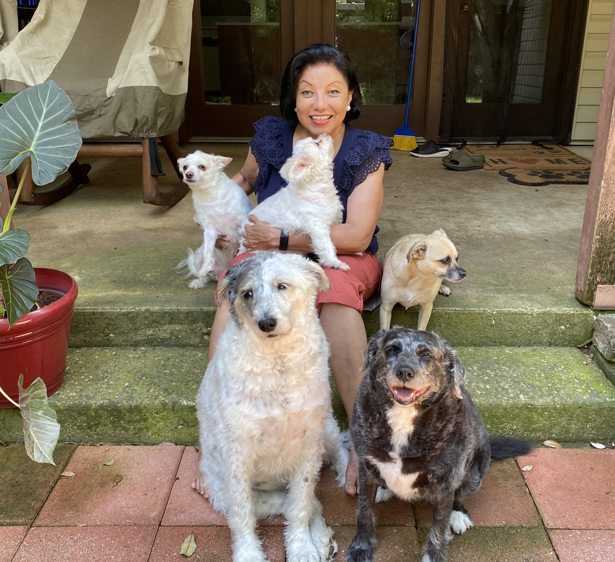 Today is National Rescue Dog Day. I have five of them. They are all loyal, loving, nonjudgmental, fun and get me out to walk. Please foster or adopt a dog from your local shelter. Save a life, #NationalRescueDogDay #Dogs #puppies #AdoptDontShop