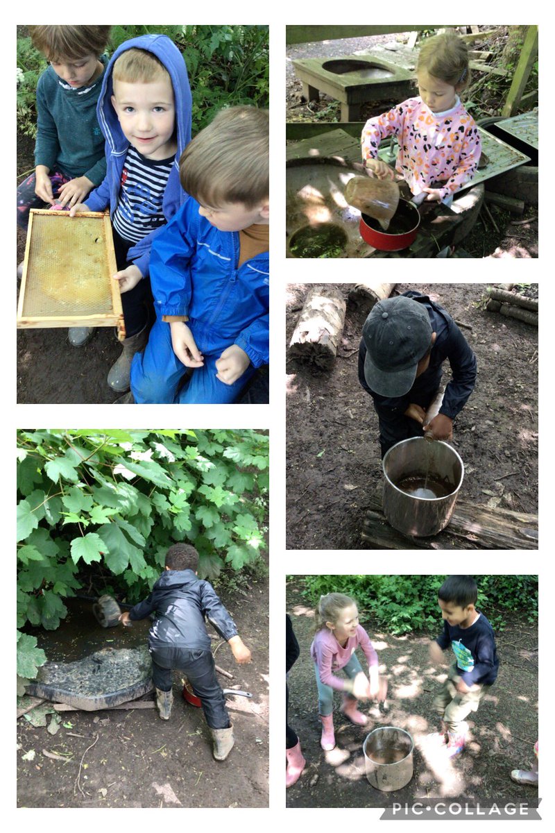 walton_primary's tweet photo. We have celebrated Bee Day today. We collected βNectarβ and used our βwingsβ to dry it in the βhoney cellβ, just like bees do to make honey. @NatForestCo @WoodlandTrust @Muddyfaces #jtmatwellbeing #elsawellbeing @JohnTaylorMAT https://t.co/L7KcoOexqO