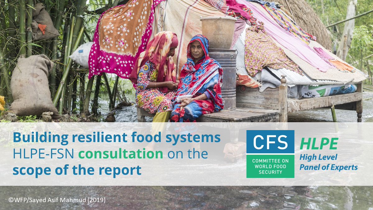 🌍 Share your expertise! The HLPE-FSN invites you to participate in the open consultation on “Building resilient #foodsystems. 📅 Open until 17 June. 🌐 Comments in EN, FR & ES. 💬 Inputs via @FAOFSNForum. For all details and to participate🔗⤵️ fao.org/cfs/cfs-hlpe/i…