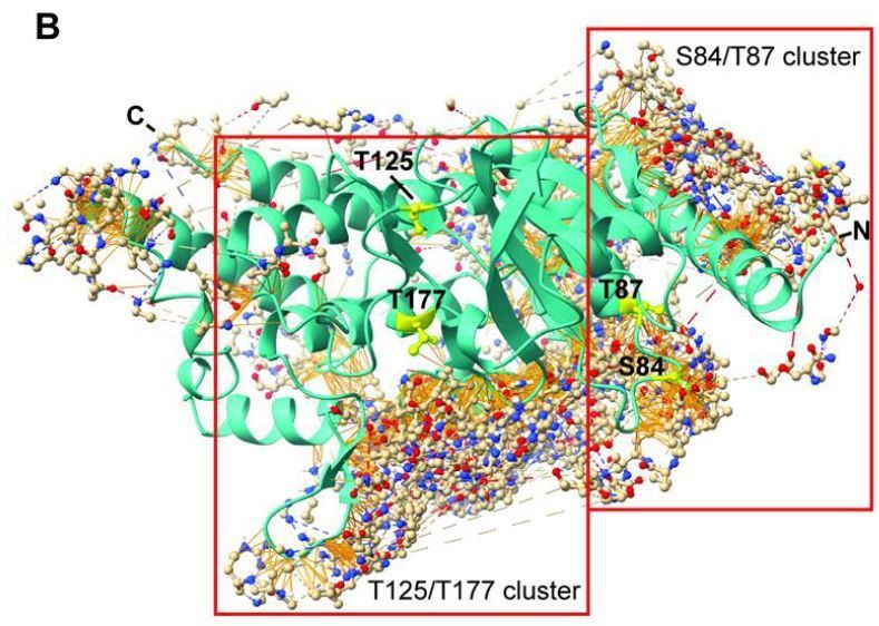 Molecular dissection of the pseudokinase ZED1 expands effector recognition to the tomato immune receptor ZAR1 (Nathan Diplock, Maël Baudin, Derek Xiang, Lung-Yu Liang, Weiwen Dai, James M Murphy, Isabelle S Lucet, Jana A Hassan, Jennifer D Lewis) buff.ly/3QM1Y7u @ASPB