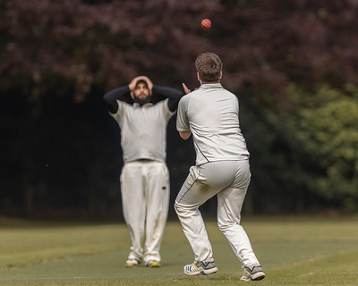 Bradenham Cricket Club tweet media