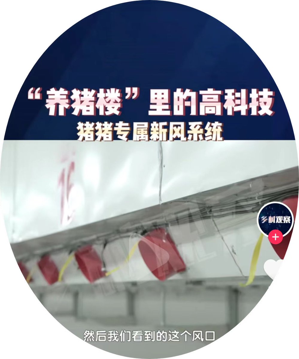 Adam Wong tweet media