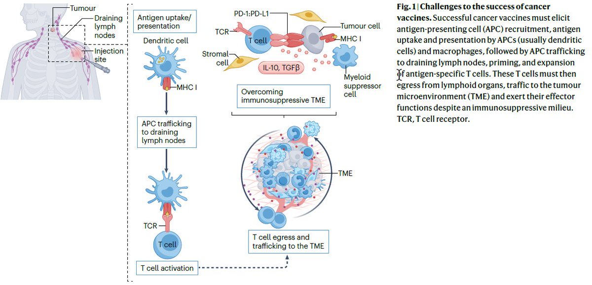 NatureRevClinOncol tweet media