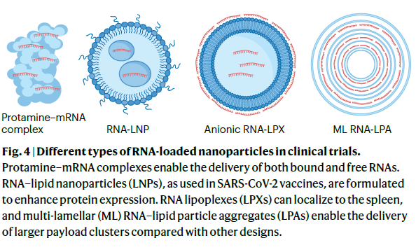 NatureRevClinOncol tweet media