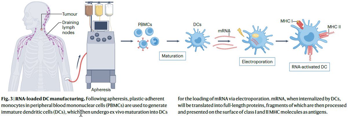 NatureRevClinOncol tweet media