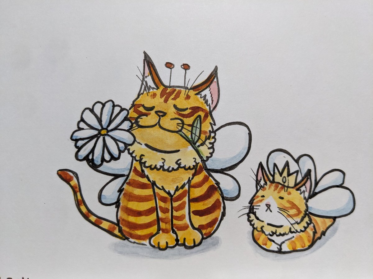 Clara:HANA Cat Come tweet media