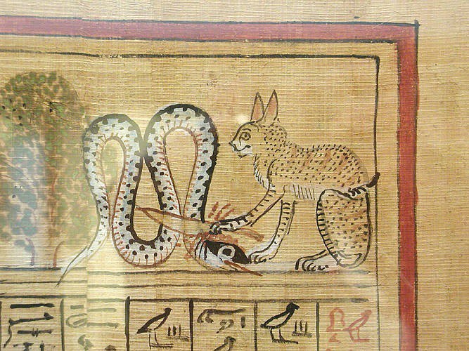 wantedserval's tweet photo. #SERVOL is a Cult

ca: 3b7wZLpuHNdWmnfu7zwZ9fkqVcD4NfxcN3PJrrL3AMqu https://t.co/MmXpN4o7Id