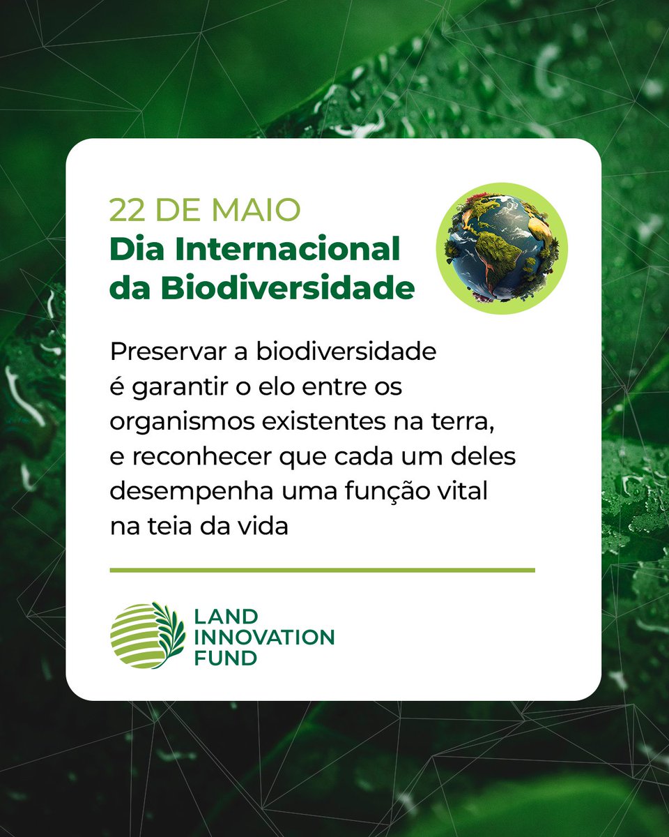 Land Innovation Fund tweet media