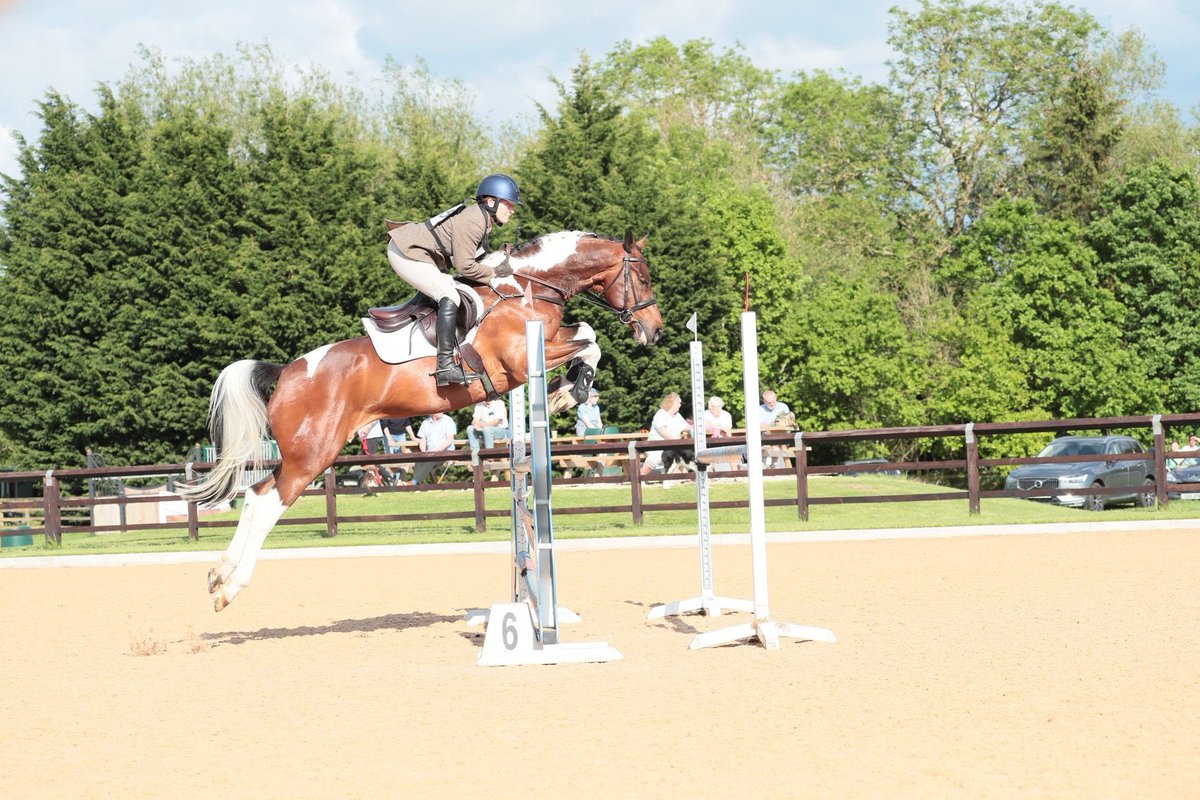 This young horse is not only outstanding in his looks - he is outstanding in his quality! ⭐️

Another Event - another top placing for 6yo UCS DISCLOSURE by Superstar Sire DIAMANT DE PLAISIR and our Partner Rider Edie Murray-Hayden.

Read more on ➡️
instagram.com/p/C7MacNCoUUd/…
