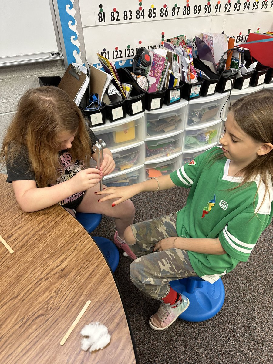 SealsMrs's tweet photo. Huge thanks to my sister, a @Creighton PA student for extending our #health unit today! She taught my students how to test the nervous system, proprioception, skeletal system, circulatory, and respiratory systems. #STEMcareer #Teambps #bpsgrad https://t.co/uIl3zdUIPF