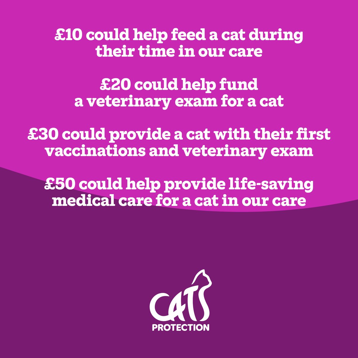 Thank you to the person that has donated £20 of our £250 target. Even a small donation can make a huge difference to cats in our care. Donate today to help the next cat through our doors at Spalding & District branch? cats.org.uk/boots-appeal/s…