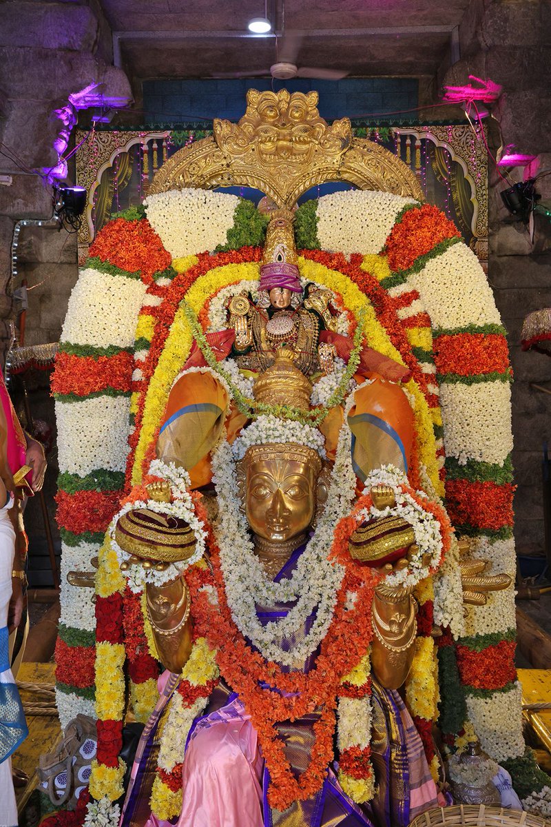 svbcttd's tweet photo. గరుడ వాహనంపై శ్రీ గోవిందరాజస్వామి కటాక్షం
#GarudaVahanam
#SriGovindarajaSwamy
#Tirupati
#TempleFestivals
#SpiritualJourney
#HinduTraditions
#Brahmotsavam
#DevotionalEvents
#Bhakti
#IndianFestivals
#SpiritualIndia
#TTDevasthanams
#TTD https://t.co/pclDa9HR45