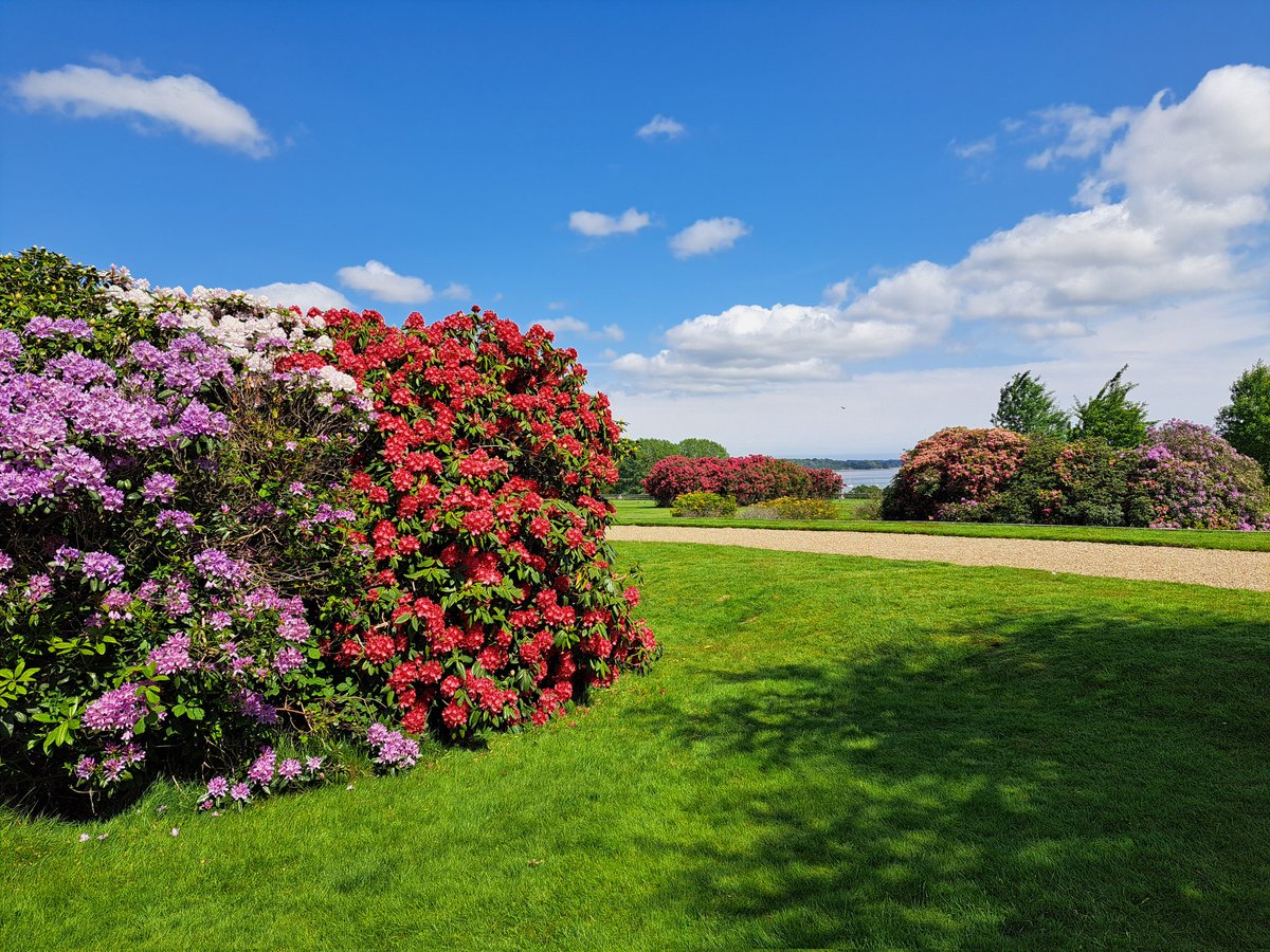 Glen the IHS Groundsman tweet media