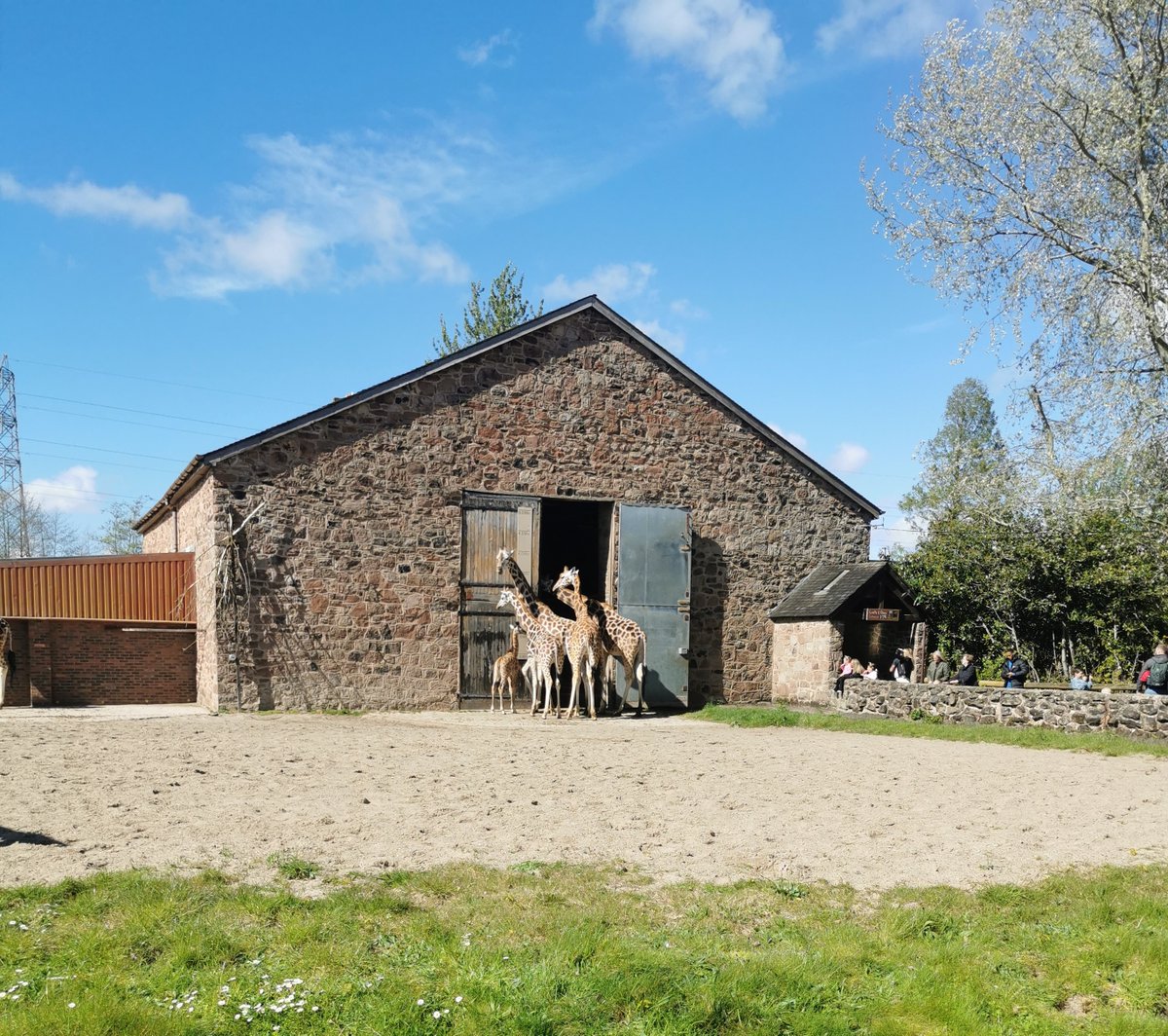 Headland Design tweet media