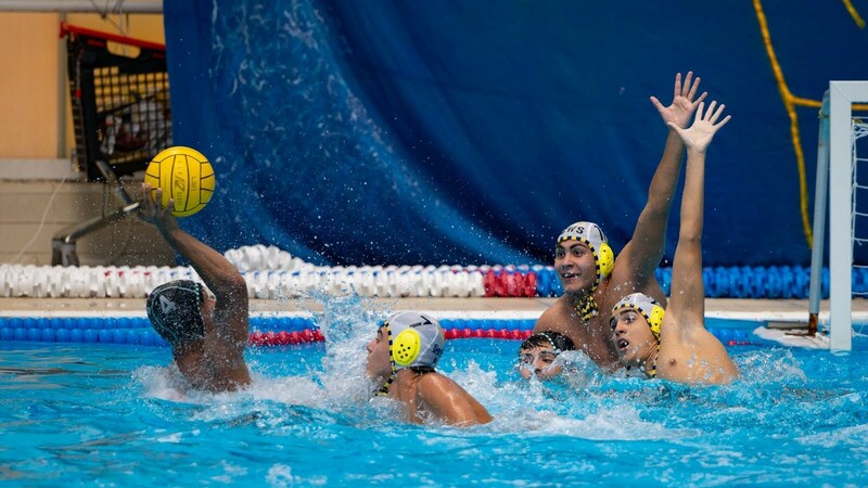 Asociación Clubes Deportivos de Élite Sevilla (@acelitesevilla) on Twitter photo 🤽♂️El <a href="/cw_sevilla/">Club Waterpolo Sevilla</a> sigue adelante en la lucha por el ascenso.
Empate a 22 ante el Waterpolo Ciudad de Rivas para hacerse con el liderato del grupo.
El CN Metropole, último obstáculo.
▶️Aquí, más detalles: ow.ly/HaUu50RNs7g 🤽♂️El <a href="/cw_sevilla/">Club Waterpolo Sevilla</a> sigue adelante en la lucha por el ascenso.
Empate a 22 ante el Waterpolo Ciudad de Rivas para hacerse con el liderato del grupo.
El CN Metropole, último obstáculo.
▶️Aquí, más detalles: ow.ly/HaUu50RNs7g