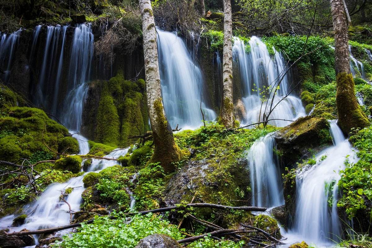 mustapanki's tweet photo. El #PNAltPirineu fa goig. Quant de temps sense veure el paisatge així. 💦 https://t.co/HEiXAXXtog