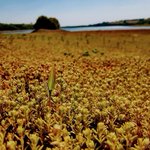 Photo by South West Lakes Trust (@swlakes)