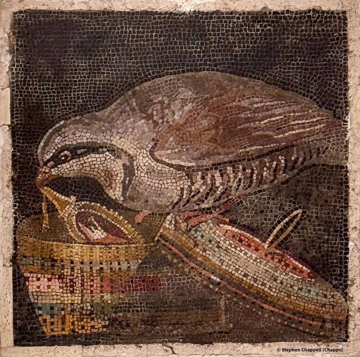 A sweet mosaic known as the ‘Thief Partridge’. It depicts a (chukar?) partridge stealing a mirror from a colorful woven basket. The theme is inspired by a Hellenistic prototype by Sosus of Pergamon. #MosaicMonday House of the Labyrinth, #Pompeii. #MANN (inv. 9980) 📸 me