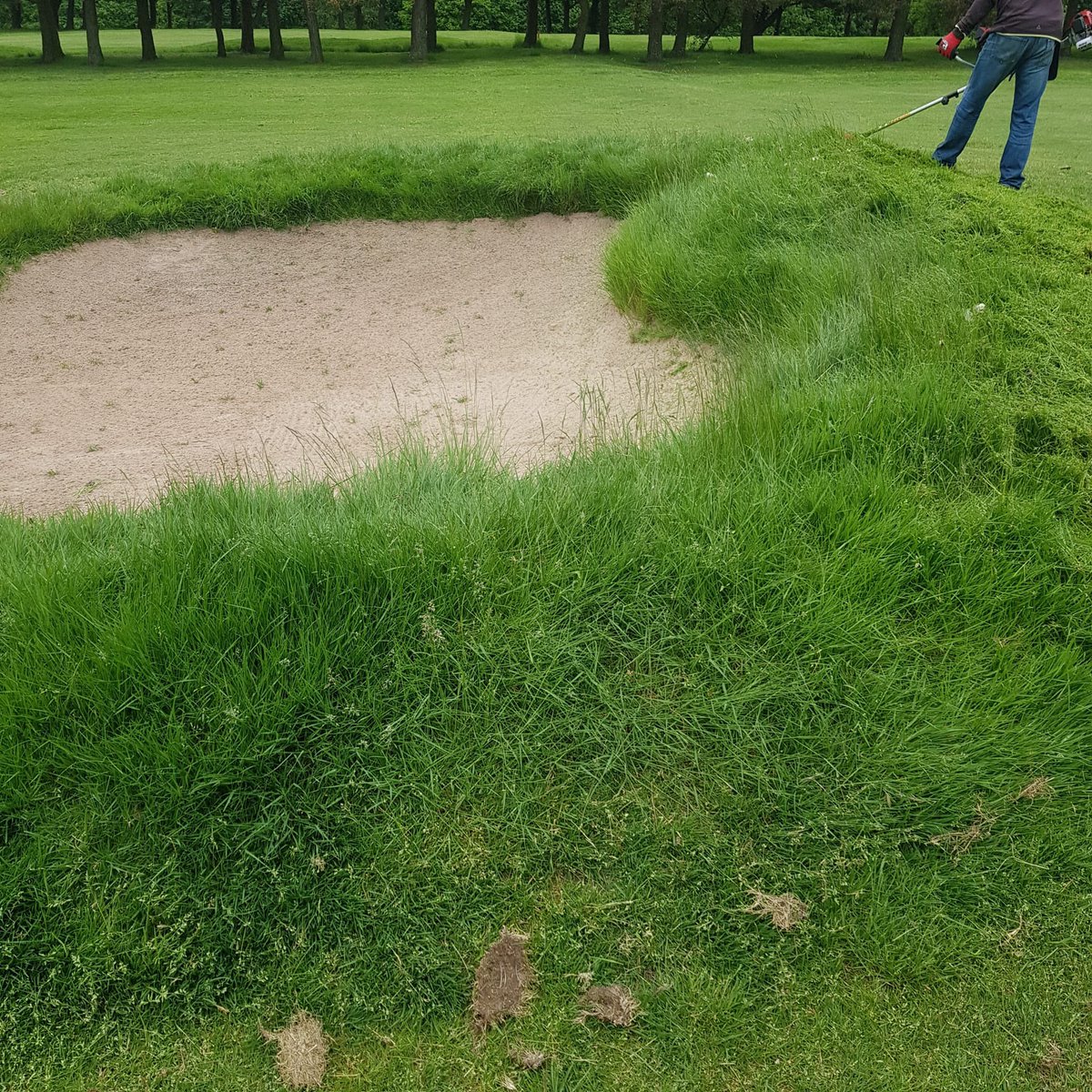 Bradley Hall GC tweet media