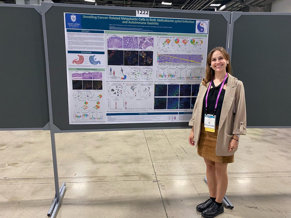 Stella Hoft tweet media