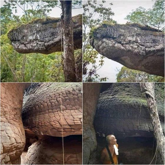 Cave in Thailand looks like a giant petrified snake
