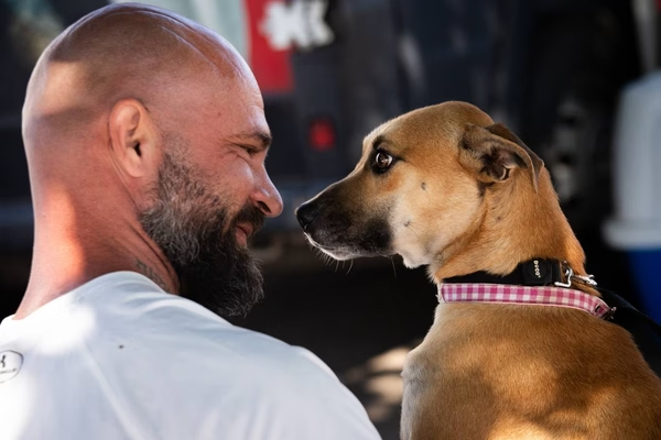 🐶  Cachorros resgatados nas enchentes do RS ganham novos lares no DF

Ao todo, 25 cachorros aterrissaram no DF na manhã desta segunda-feira (20/5). Eles já chegaram à capital da República adotados por famílias

Leia: curt.link/aVDgP