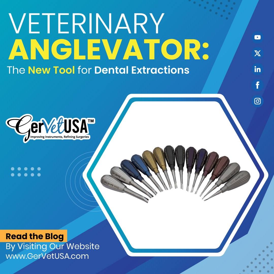 GerVetUSA's tweet image. Discover the revolutionary new tool for dental extractions – the Veterinary Anglevator!

Check it out now: tinyurl.com/2bs69tod

#VeterinaryDentistry #DentalExtractions #Anglevator #VetTools #GerVetUSA #VetMed #VeterinaryCare #AnimalHealth #VetLife