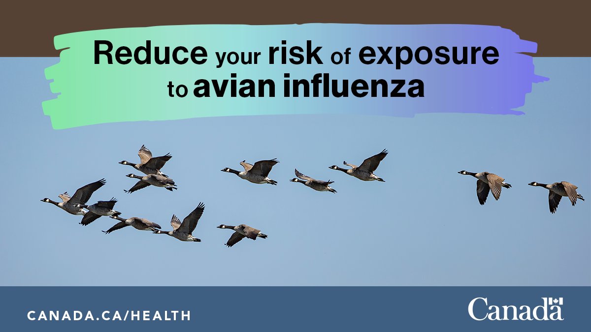 Let’s enjoy the arrival of migratory birds back into our neighbourhoods. Keep yourself, children and pets safe by not touching sick or dead wildlife, as they may be infected with diseases like #AvianInfluenza. More info:
ow.ly/KGqk50QX2Hb
#MigratoryBirdDay