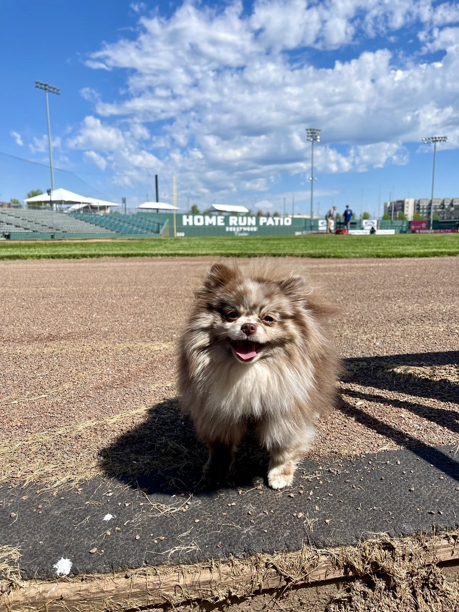 Did someone say Bark in the Park?? Bring your pup to the game tonight and enjoy $2 hot dogs too! 🐶🌭

Register your dog here > monarchsbaseball.com/barkinthepark/