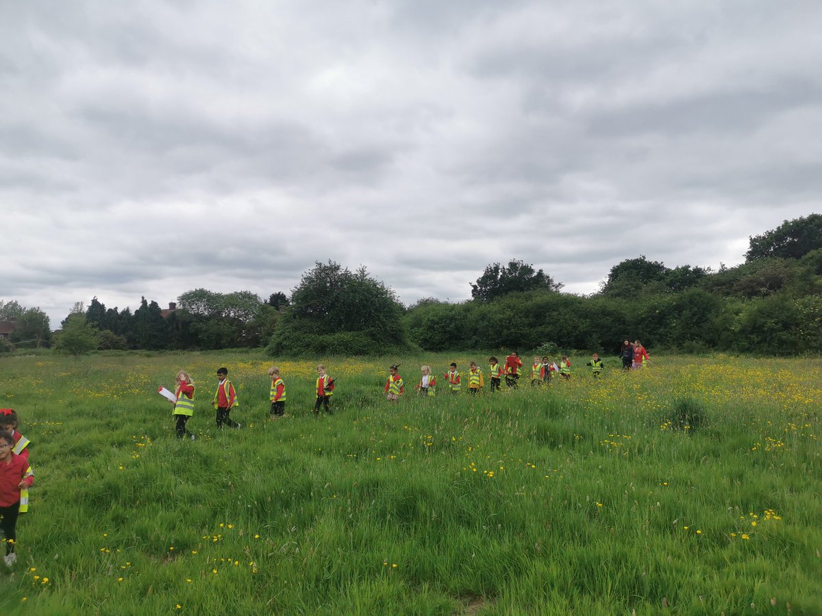 BG_Hares's tweet photo. We've had a brilliant science lesson investigating the conditions in which plants grow best in the Clifton Backies. #BGscience https://t.co/5oMah3FD2Q