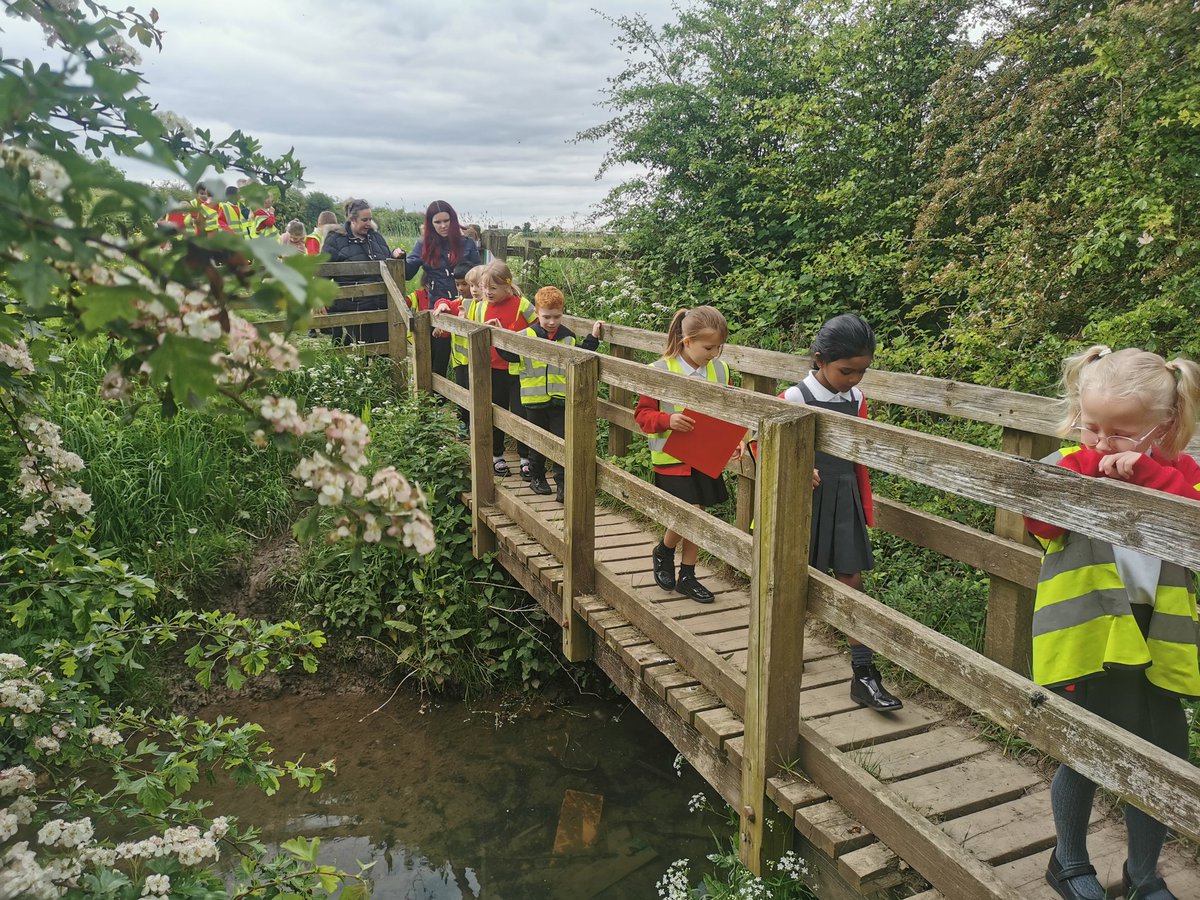 BG_Hares's tweet photo. We've had a brilliant science lesson investigating the conditions in which plants grow best in the Clifton Backies. #BGscience https://t.co/5oMah3FD2Q