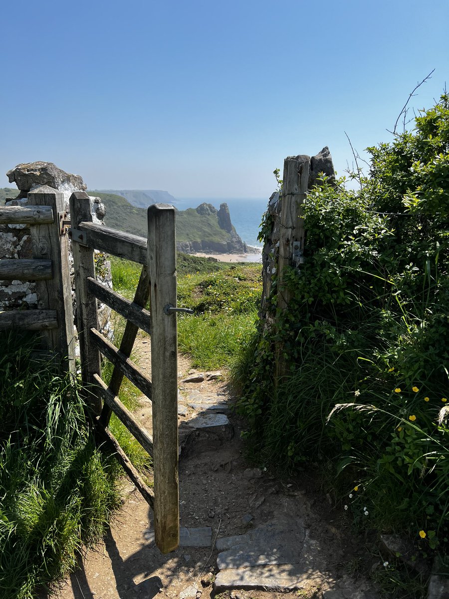 Parkmill Cottages 🏴󠁧󠁢󠁷󠁬󠁳󠁿 tweet media