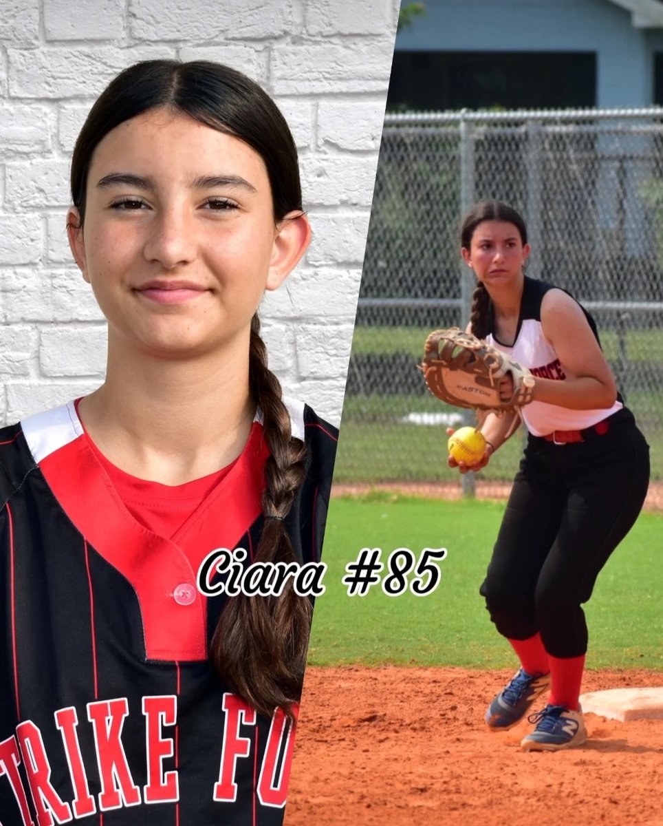 Florida Strike Force tweet media