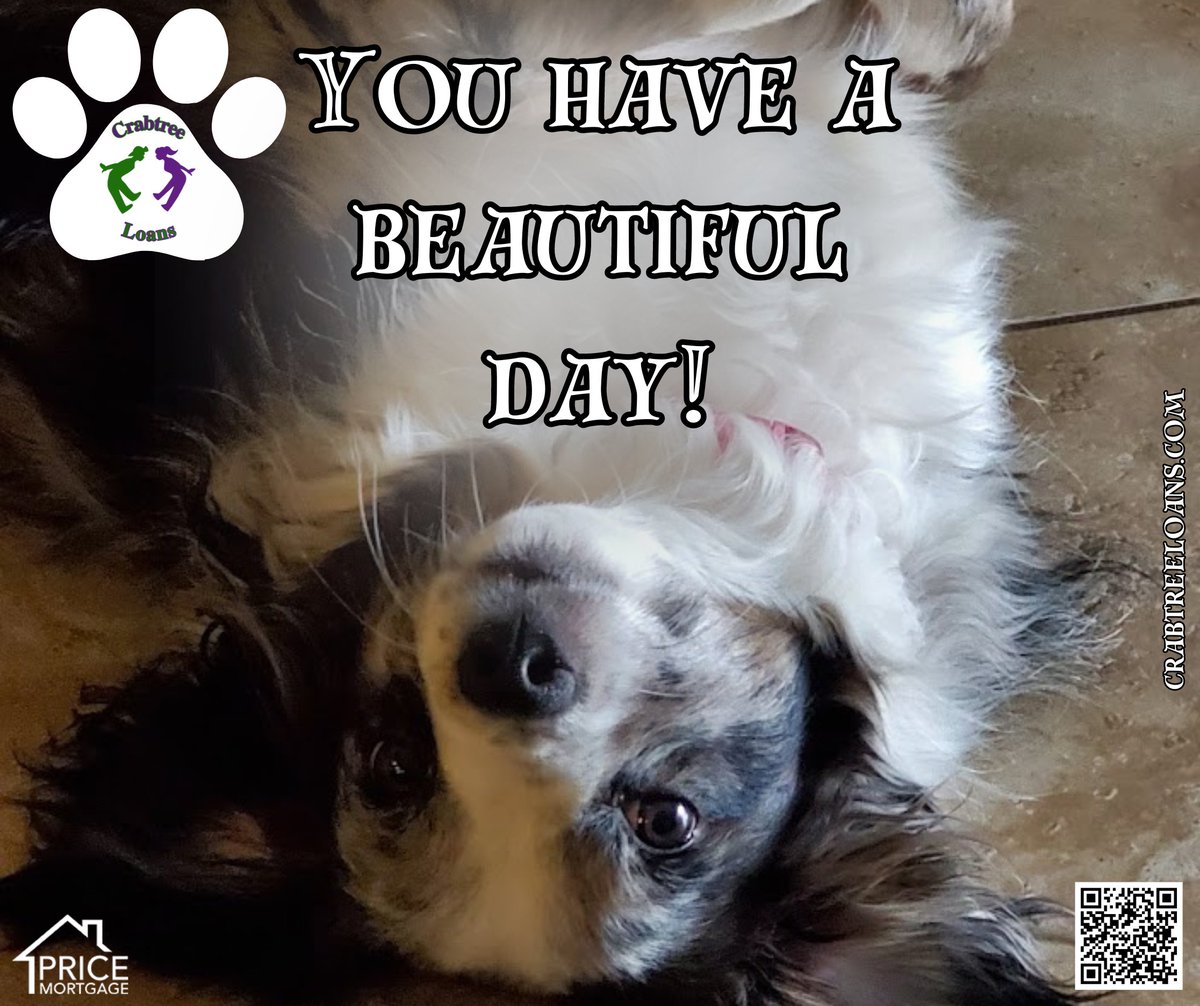 Wags, wiggles, and wishes for a furbulous day from Ferius the Mini Aussie! ☀️ Sending you all the pawsitive vibes! Share a pawsitive below!  #FeriusTheMiniAussie #MarvelousMonday #LetsChat #crabtreeloans