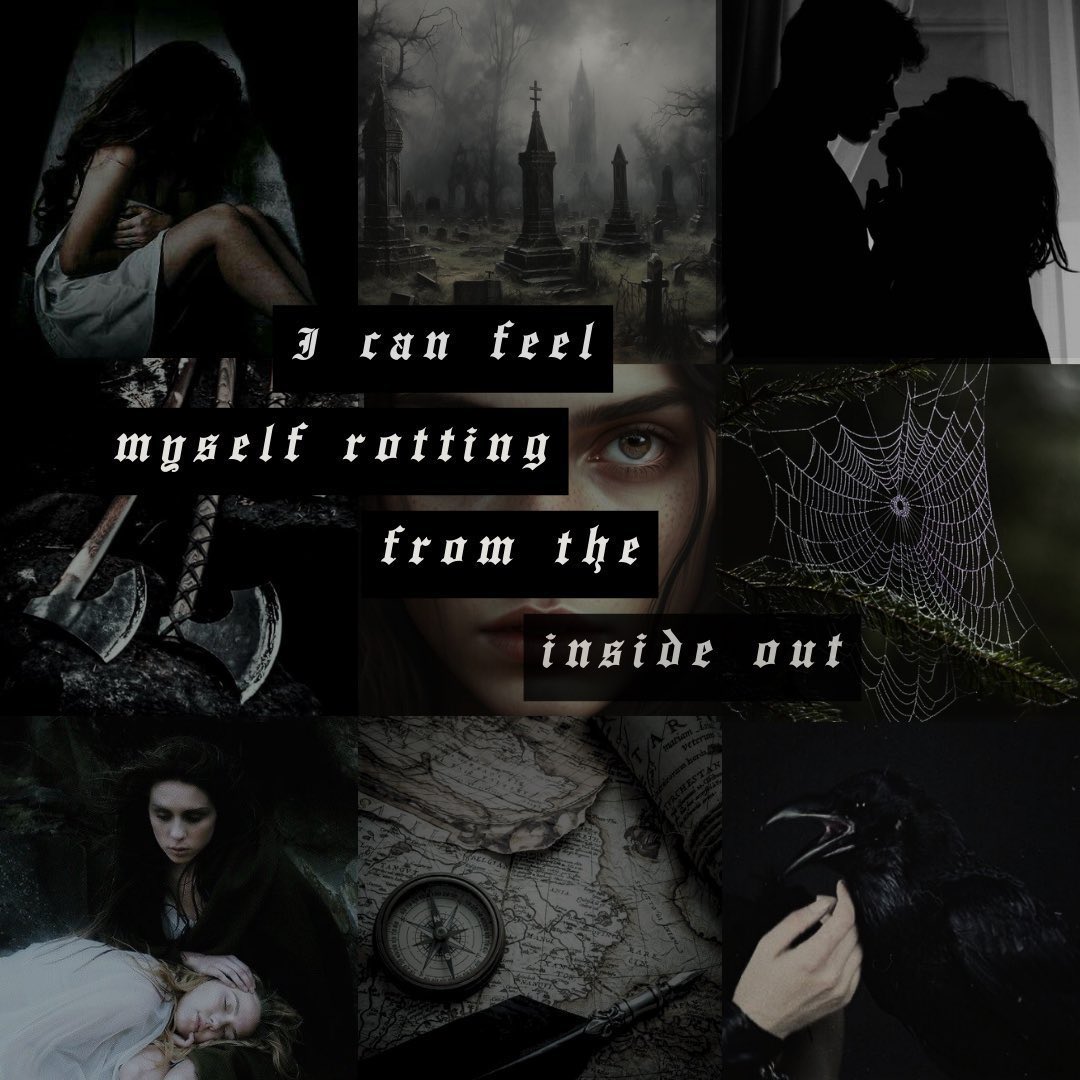 Amanda ✨ MOSTLY UPDATES tweet media