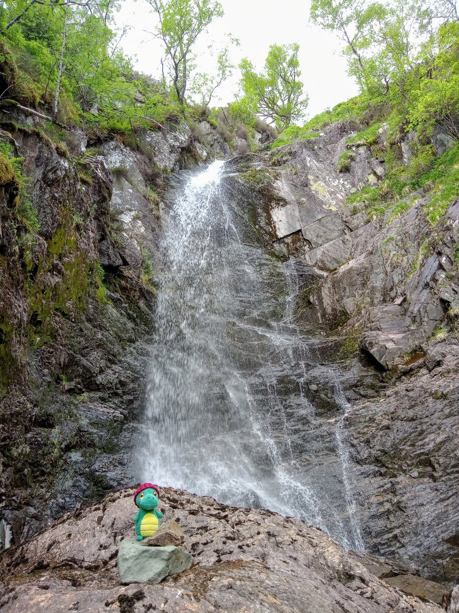 Mark Boyd tweet media