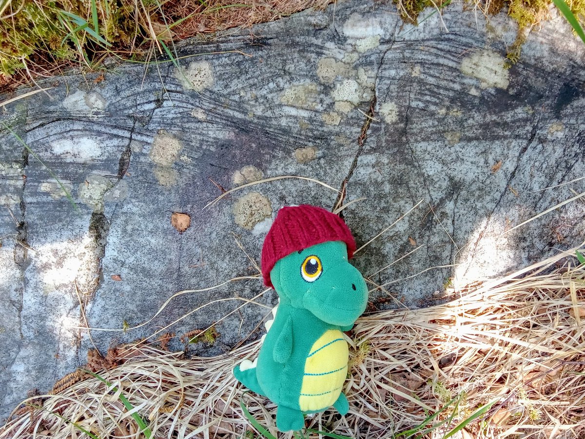 Mark Boyd tweet media