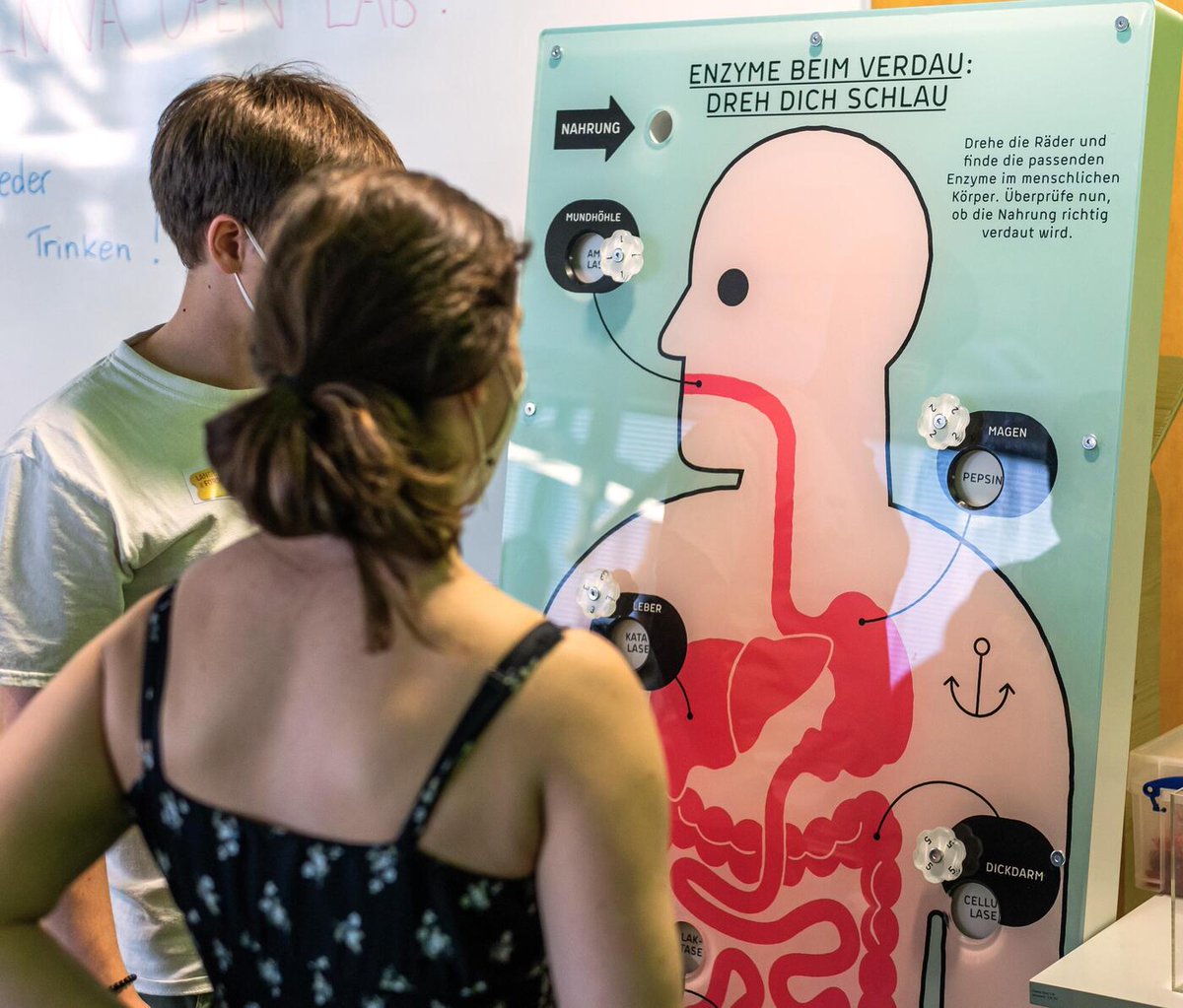 Vienna Open Lab is of course part of The Long Night of Research at Vienna BioCenter - It's only days away now!

Read more: lnkd.in/dcm_PJ9b
Come join us on May 24th between 5pm and 11pm #lnf24 #langenachtderforschung